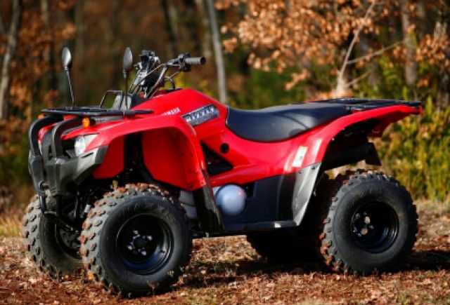 YAMAHA-GRIZZLY-300-a